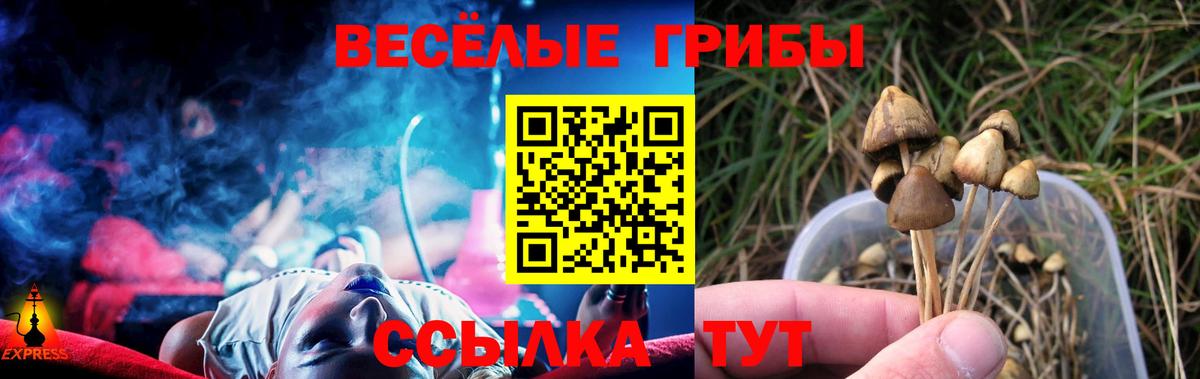 дарнет шоп  Псилоцибиновые грибы GOLDEN TEACHER  Вход с VPN  Псилоцибиновые грибы Cubensis  Таганрог 